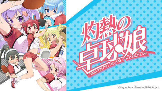 Scorching Ping Pong Girls: Feel The Beat! – Mechanical Anime Reviews