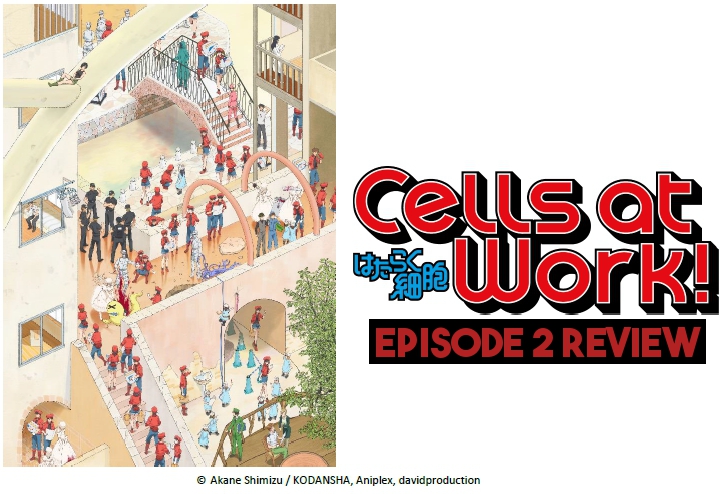 Made In Abrasion – ‘Cells At Work!’ Episode 2 Review